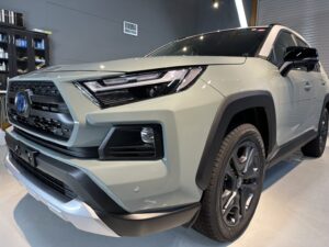 RAV4花粉シミ除去・コーティング施工例