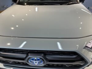 RAV4花粉シミ除去・コーティング施工例