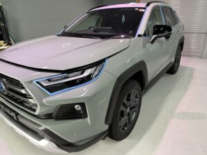 RAV4花粉シミ除去・コーティング施工例